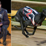 Aston Lights snares with Challenger Short Course and is pictured afterwards with handler Graeme Jose