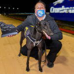 Blazer Glory with handler Jason Ireland after winning the GRV Vic Bred Maiden Final.