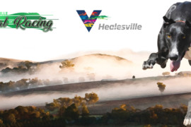 Healesville Festival of Racing