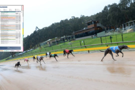 July / August Racing Calendar now available
