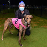 Usman Bale made it four wins from his past seven starts for the Grenfell kennel.