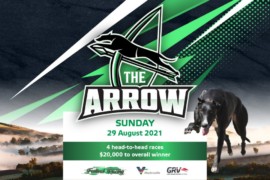The Arrow – final field!