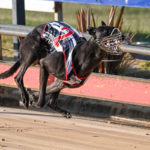 Aston Geneve makes it four from four when clocking a lightning 17.55sec in the Cranbourne Sprint Final.