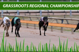 Grassroots Regional Championships set to go