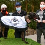 Highway 31 Maiden Challenge winner Aston Merit with Cynthia O'Brien, handler Liam Shap and Ash Baker.