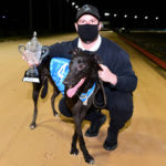 Lala Kiwi with handler Haydn Wilkinson and the prized Cranbourne Classic trophy.