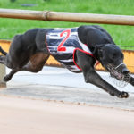 Aston Geneve extended her unbeaten record to six when clocking 19.17sec.