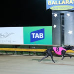 Avenger Lass (8) makes it 7 wins from 14 starts when winning the Grassoots Regional Sprint Championship in 25.42sec.