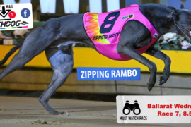 Daily Mail: Rambo eyeing victory at Ballarat