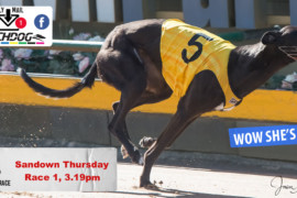 Daily Mail: Wow, she can go fast at Sandown Park