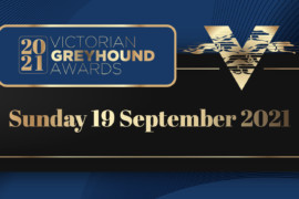 Who will be crowned the Victorian Greyhound of the Year?