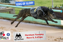 Daily Mail: Geall’s ‘King’ to reign at Horsham
