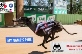 Daily Mail: ‘Phil’ to test Thompson’s True talent