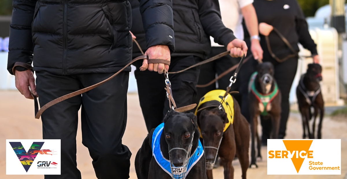 The easy way to check into greyhound clubs