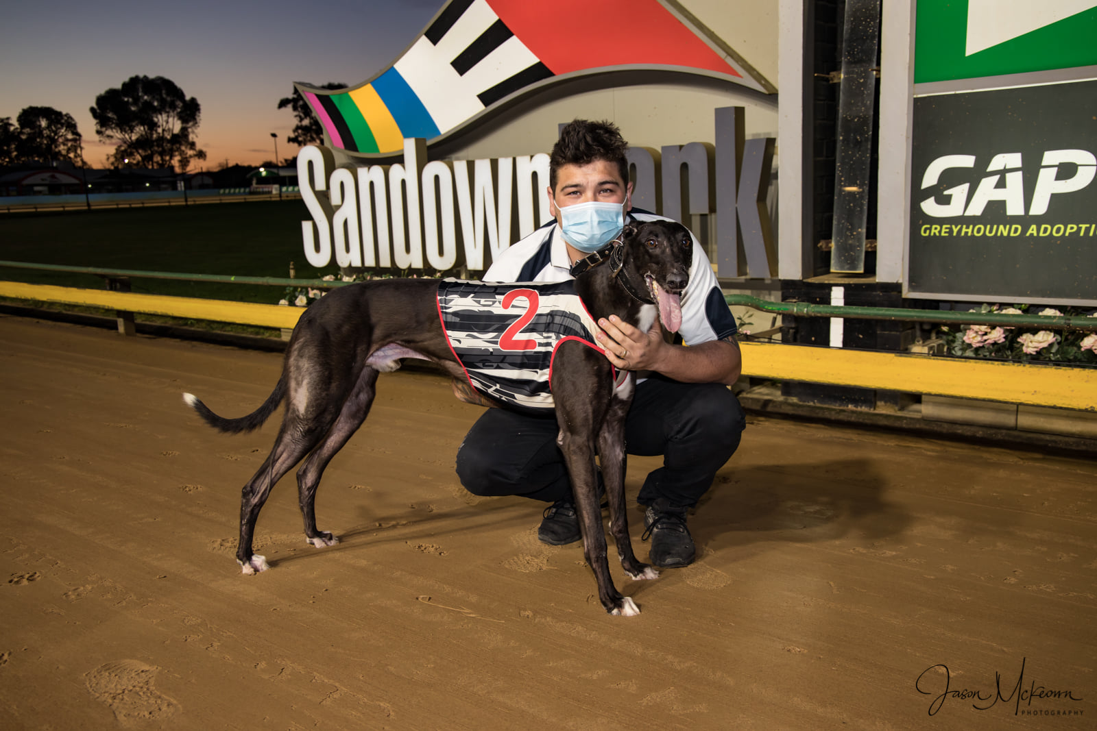 Tonk At His Top For Healesville Return