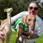 Waterloo Cup runner-up Kasemi with trainer Kristie Collyer after winning the Healesville Members Trophy.