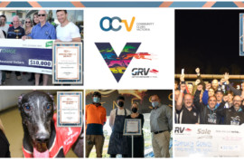 GRV and clubs in race for CCV awards