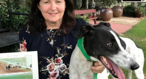 Greyhound whisperer lauds new scheme