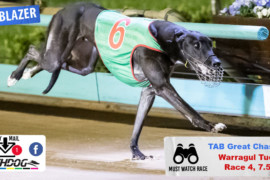 Daily Mail: Potential titans clash at Warragul
