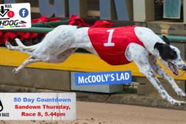 Daily Mail: ‘Lad’ to stay hot at Sandown Park?