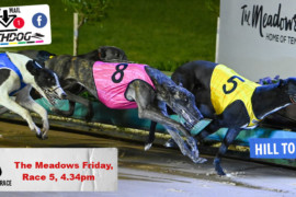 Daily Mail: ‘Jack’ to top rivals at The Meadows