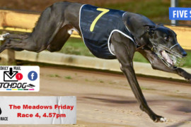 Daily Mail: Five-star performance at The Meadows