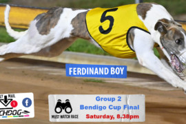 Daily Mail: Will ‘Typhoon’ unleash in Bendigo Cup?