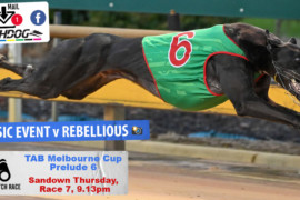 Daily Mail: Greatness getting closer at Sandown Park