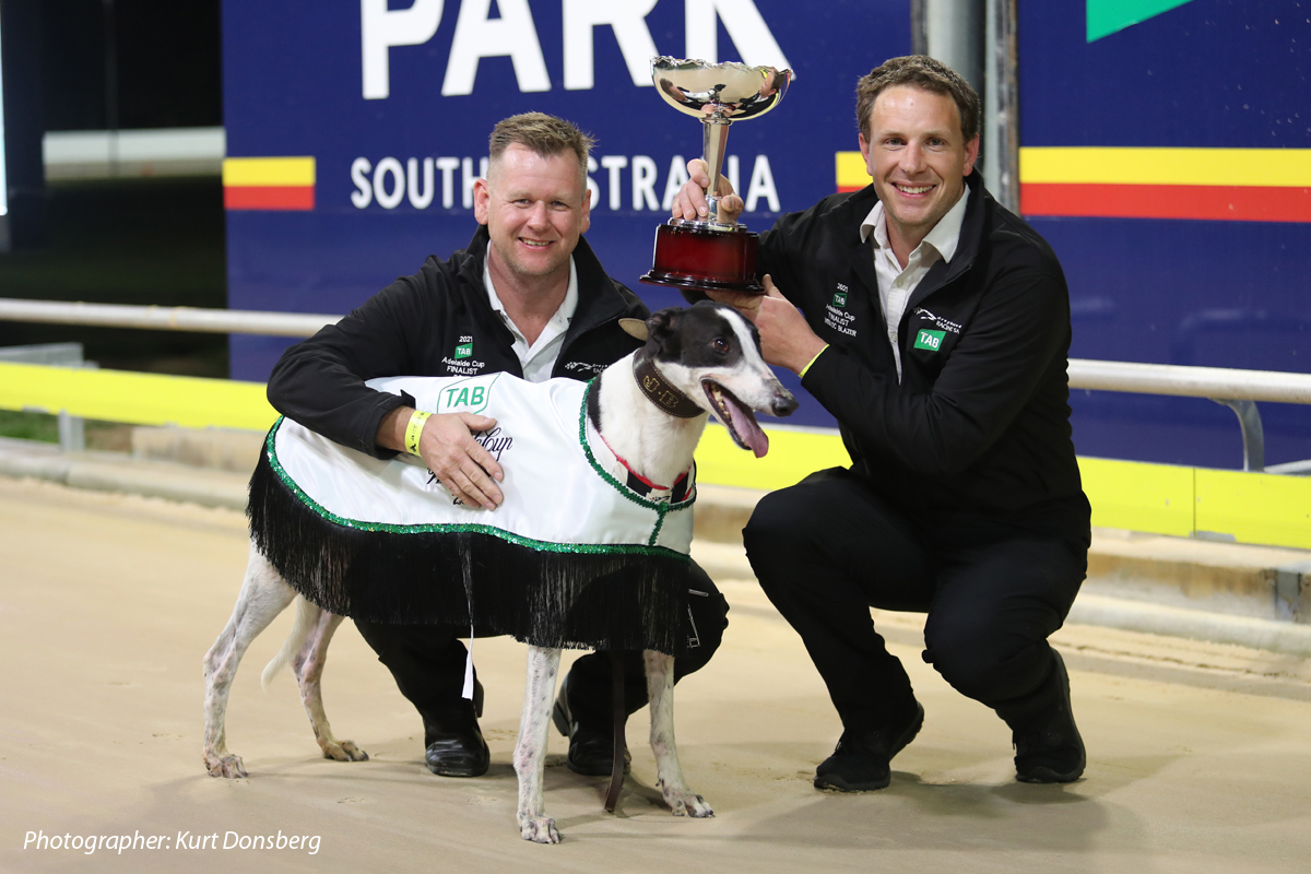 Do It gets it done in Adelaide Cup