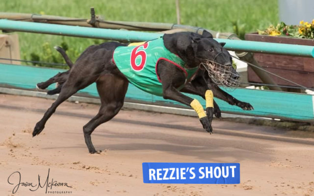 Rezzie's Shout