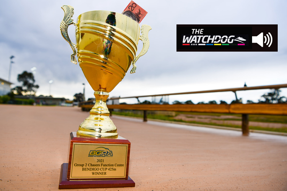 How to spend 20 on the Bendigo Cup