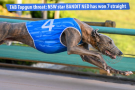 Bandit Ned’s Topgun siege