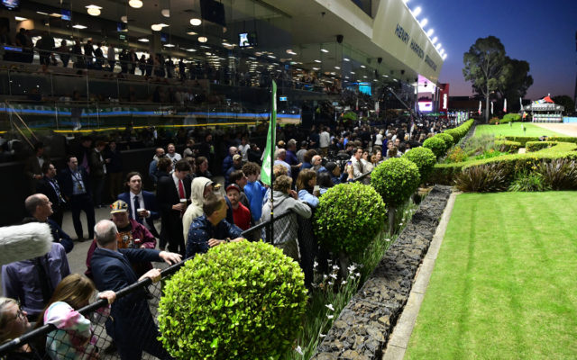 Crowds returned to Sandown Park for TAB Melbourne Cup night.