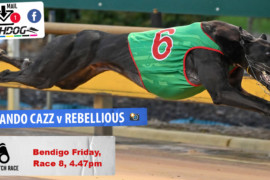 Daily Mail: ‘Rebel’ faces ‘Cazz’ at Bendigo