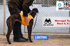 Daily Mail: No holding back Limiting at Warragul