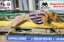 Daily Mail: Dreamy battle at Shepparton