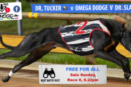 Daily Mail: ‘Tucker’ hoping to dodge ‘Omega’ at Sale