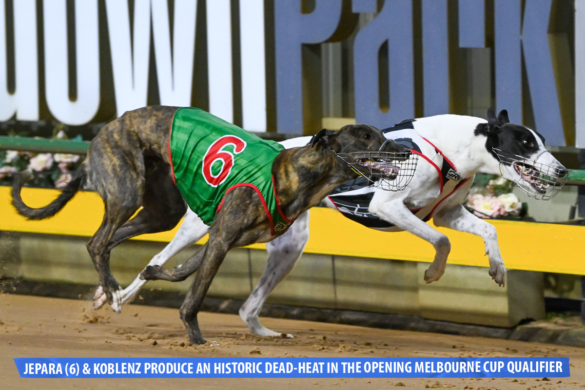 Tab Melbourne Cup Heats Out Of This World Tab Melbourne Cup Heats Out Of This World