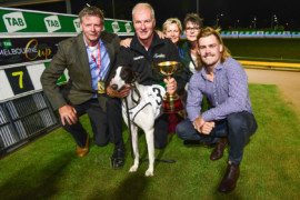 King Koblenz reigns in Melbourne Cup