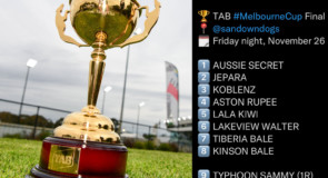 Rupee remains favourite for TAB Melbourne Cup