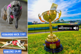 How to spend $50 on TAB’s ‘All In’ Melbourne Cup market