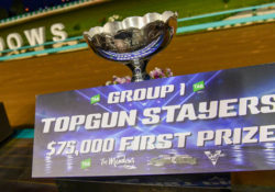 Topgun Stayers Trophy_crop