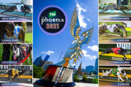 TAB Phoenix: Armchair Guide