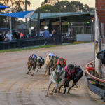 Aston Titan (green rug) wins the Sale Motor Group Summer Cup Final.