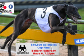 Daily Mail: Riches on offer in Goldfields Cup