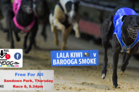 Daily Mail: ‘Lala’ to go ta-ta at Sandown Park?
