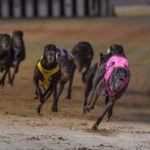 Jarick Bale (8) storms to the finish line ahead of his rivals.