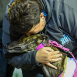 Jarick Bale is embraced by Lisa Delbridge, wife of trainer Mark Delbridge.