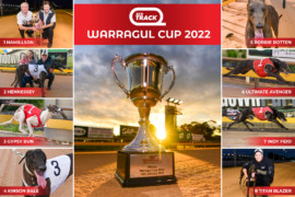 SEN Track Warragul Cup Final: Armchair Guide