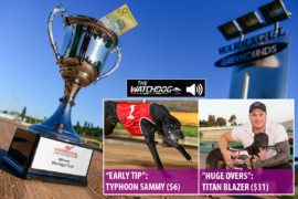 How to spend $50 on TAB’s ‘All In’ Warragul Cup market